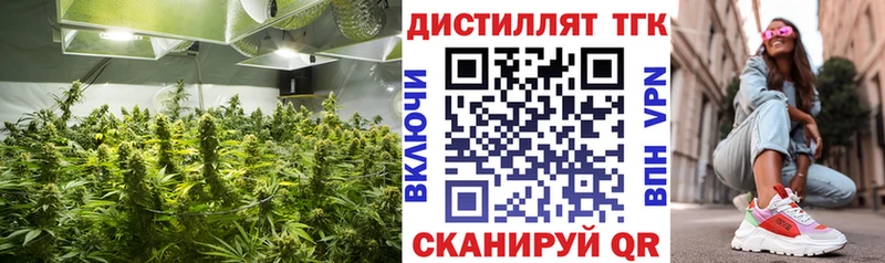 Дистиллят ТГК гашишное масло  маркетплейс телеграм  Нахабино  OMG как зайти 