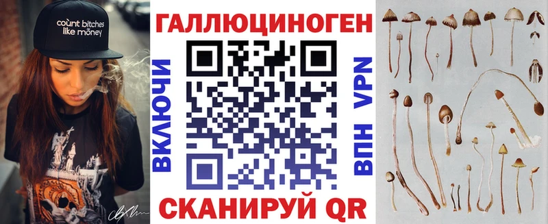 Псилоцибиновые грибы Psilocybine cubensis  KRAKEN как зайти  Нахабино 