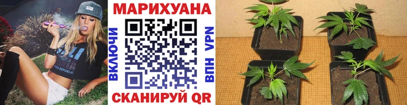купить наркотики сайты  Нахабино  МАРИХУАНА LSD WEED 
